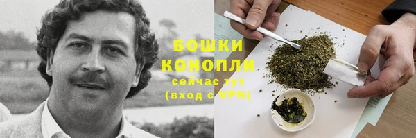 трава Аркадак