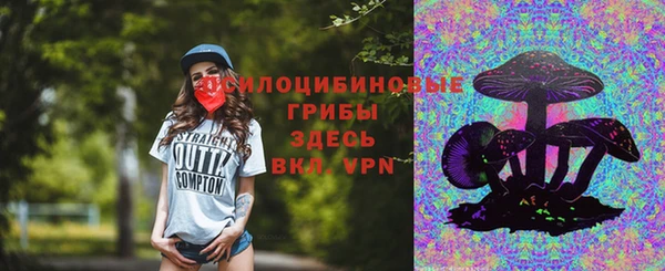 apvp Арсеньев